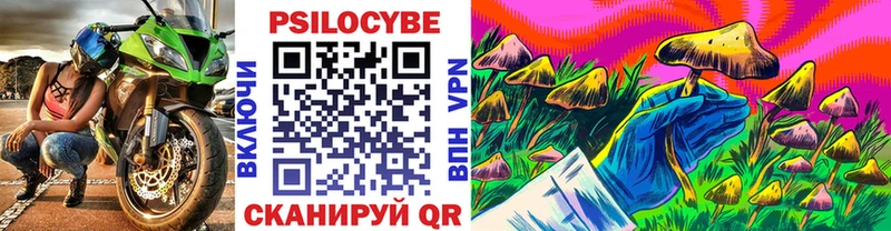 Псилоцибиновые грибы Psilocybe  наркота  Алзамай 