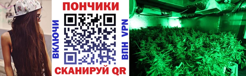 Бошки марихуана LSD WEED  Алзамай 
